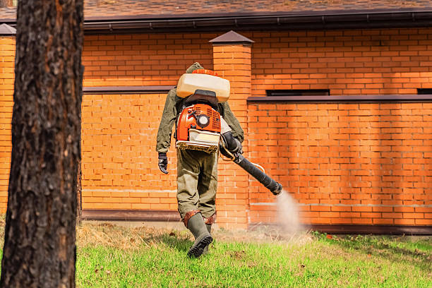 Trusted Termite Control service in Worthington, IN - Nex Pest Control